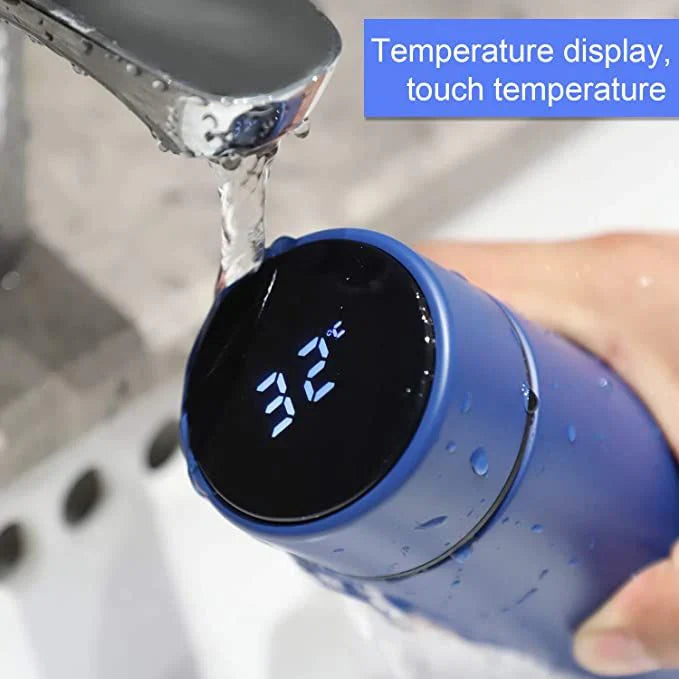 Temperature Water Bottle